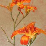 Day Lilies, Oil on Canvas, 30" x 40"
Private Collection