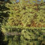 Corwith Park, Oil on Canvas, 48" x 36"